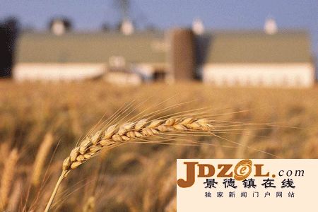 【理上网来 辉煌十九大】实现小农户和现代农业发展有机衔接